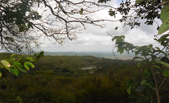 Fazenda de Coriolano