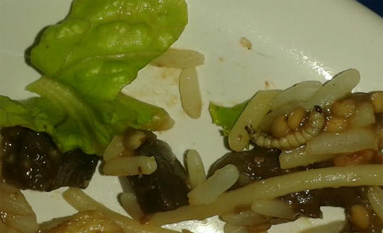 Larva em restaurante do servidor